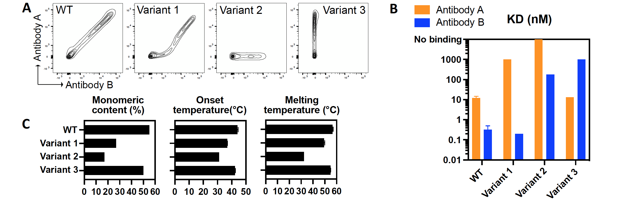 Variant 3 shows favorable biophysical properties and completely abolishes<br />
binding to antibody B